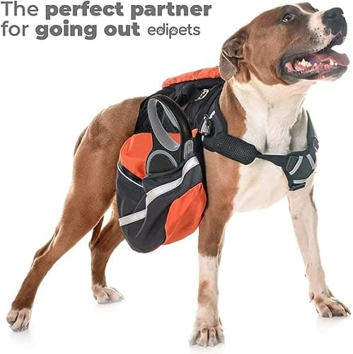 Edipets, Retractable Dog Lead, 5 and 8 Metres, Flexible Lead for Training and Walking (Grey, 8 m) - Image 7