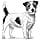 ROYAL CANIN Expert Adult Small Dogs | 4kg | Dry Food for Small Adult Dogs up to 10kg | To Maintain an Ideal Weight | To Support Healthy Digestion - Image 4