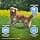Eukanuba Dog Daily Care Adult Weight Control for Large Breed Chicken 15kg - Image 4