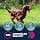 Eukanuba Adult Dog Dry Food For Medium Breed Chicken 3 kg - Image 6