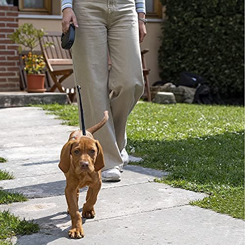 Ferplast Flippy One Retractable Dog Lead, Lead for Medium Dogs up to 20 kg, Max 5 m Extendable Cord, Single Button to Lock and Unlock, Light Blue - Image 4