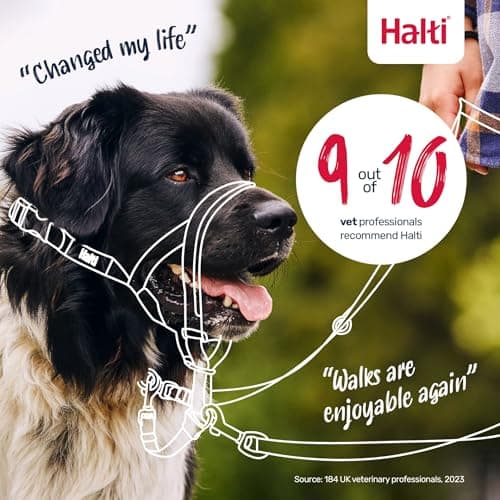 Halti Halter – To Stop Pulling On His Leash, Fully Padded On The Snout, Anti-Pull Collars for Medium Dogs (Size 2, Burnt Orange) - Image 8