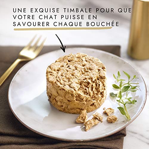 GOURMET | GOLD | Timpani | Complete Food for Adult Cat | Boxes | Beef, Chicken, Salmon, Tuna | 96x85g - Image 7