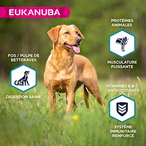 EUKANUBA Grain-Free Adult Small and Medium Breeds Rich in Fish 12 kg - Image 5