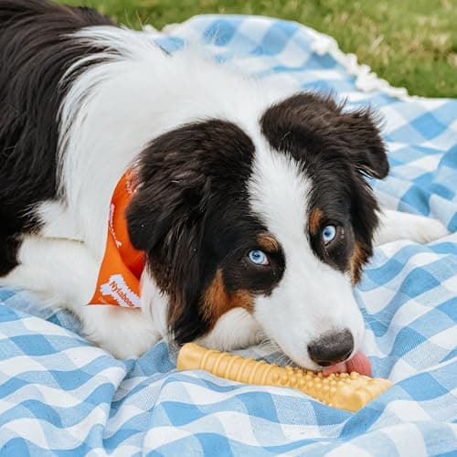 Nylabone Jouet à Mâcher Résistant Dura Os Extrême Arôme Beurre de Cacahuètes pour les très Gros Chiens + 23 kg - Image 3