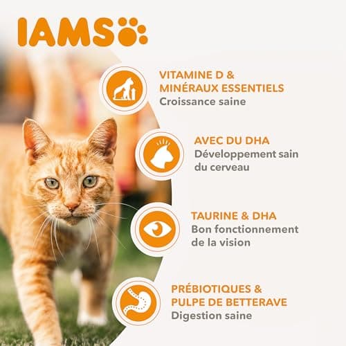 IAMS Vitality - Croquettes Super Premium Chatons - savoureuses complètes équilibrées - Favorise Croissance et Vitalité - Au Poulet Frais – sans OGM Colorant arôme Artificiel - Sac refermable de 10 kg - Image 7