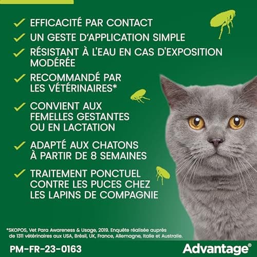 Advantage Cat & Rabbit Under 4 kg - Cat Flea Pipettes for Infestation Prevention - Flea Treatment with 3-4 Weeks Protection - 4 x 1ml - Image 6