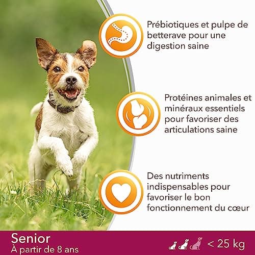 Iams Mature & Senior Dog - 5 kg - Image 5