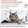 ROYAL CANIN Expert Mature Consult Balance | 1.5 kg | Complete Cat Feed | Ages 7+ | Sterilized Cats Aged or Tendency to Gain Weight - Image 5