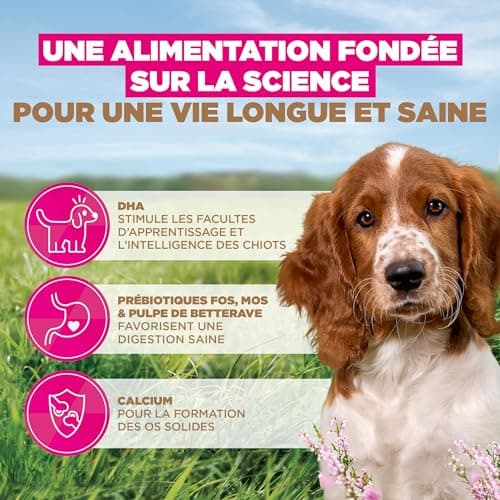 Eukanuba Premium Grain Free Dry Food Puppies Small and Medium Breeds - Rich in Ocean Fish - Hypoallergenic - DHA, Calcium - 12kg - Image 7
