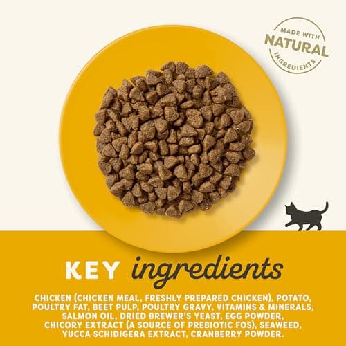 Applaws Natural Grain Free Complete Dry Kitten Food with Chicken, 2kg Bag (Pack of 1) Colour 3 Packaging May Vary - Image 4