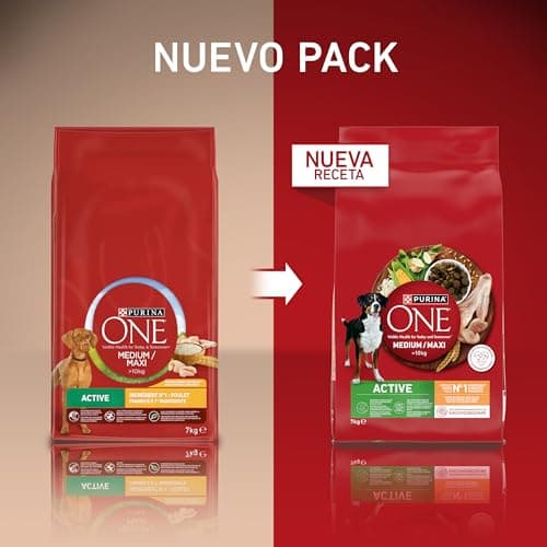 PURINA ONE | Active | Medium and Large Adult Dog > 10kg | High Protein Dry Food | Helps Maintain Strong Muscles and Sufficient Energy | Chicken | Bag | 7kg - Image 4