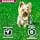 Eukanuba Dog Dry Food Yorkshire Terrier Chicken 2kg - Image 6