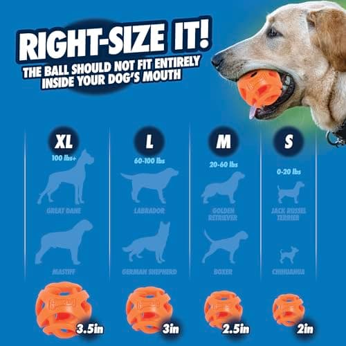 Chuckit Breathe Right Fetch Chasing Ball for Dogs Size XL - Image 6