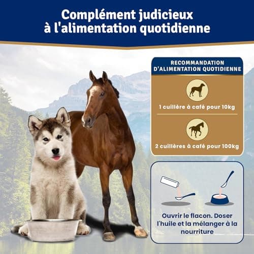 Veddelholzer Salmon Oil for Dogs 1 Litre in Tin Can Recyclable Ideal Coat Care Good for Bones & Immune System with Omega3 Fatty Acids & Vitamin E - Image 7