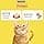 FRISKIES | Indoor Cat | Complete Dry Food for Indoor Adult Cats | Chicken and Vegetables | Complete Food for Indoor Cats | Bag | 1.5 kg - Image 7