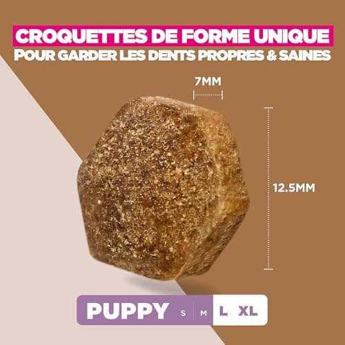 Eukanuba Premium Grain Free Dry Food for Large Breeds Puppies - Rich in Ocean Fish - Hypoallergenic - DHA, Calcium - 12kg Bag - Image 6