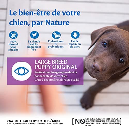 Wellness CORE Puppy 10 kg, Chicken - Grain Free, Natural, Hypoallergenic, High Protein, High Meat Content, Eye & Brain Develops - Image 4