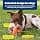 PetSafe Sportsmen Squeak N Treat Booya Rechargeable Dosing Toy for Dogs, Size M - Image 6
