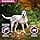 Eukanuba Daily Care Adult Dog Sensitive Skin for All Breeds Fish 2.3 kg - Image 5
