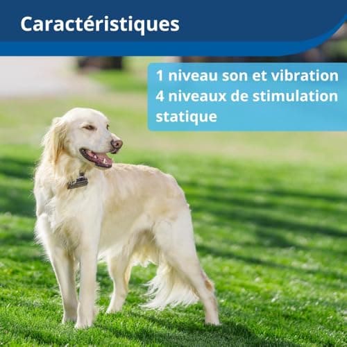 PetSafe, Extra Collar for Stubborn Dogs or Large Dogs for Fencing Anti-Runaway with Wire, Adjustable, Waterproof, 5 Levels of Stimulation, for Dogs of +4 kg, Weighs 142 GR. - Image 7
