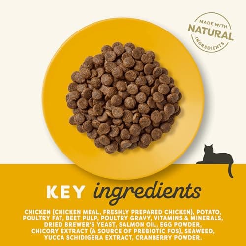Applaws Grain Free Complete Dry Chicken Food for Senior Cats - Resealable Bag of 400g - Image 5