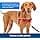 PetSafe - Easy Walk Extra Large Dog Harness (XL) - Black - Image 7