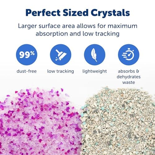 PetSafe - ScoopFree Premium Litière pour Chat Non Agglomérante en Cristal - Contrôle des Odeurs, sans Poussière - Lavande, Paquet De 2 - Image 7