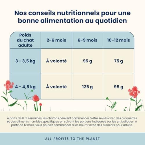 Almo Nature Kitten - Kitten Dry for Kittens with Fresh Chicken - For Balanced Growth of 2 to 12 Months, Suitable for Gestation and Breastfeeding - 400 g Bag - Image 5