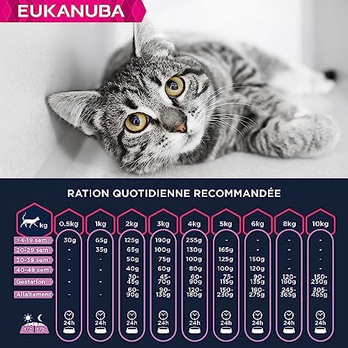 EUKANUBA Grain Free Kitten Dry Food - Rich in Salmon - DHA, Non-GMO, Artificial Colors, Flavours - 2 kg - Image 6