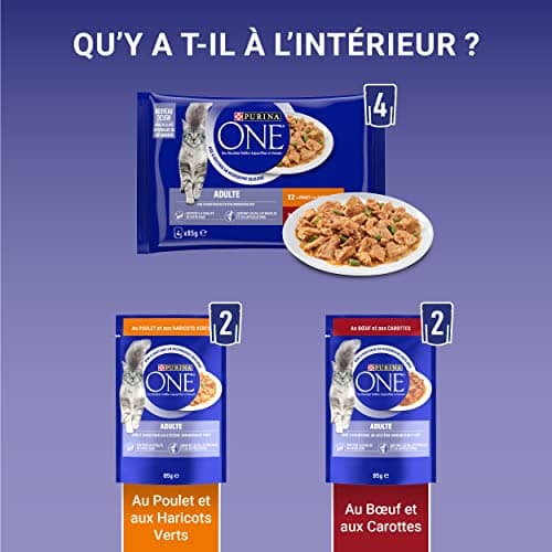 PURINA ONE | BIFENSIS | Chat Adulte | Soutien la vitalité du Chat, Les os, Les Muscles et Les articulations | Effilés en Sauce | Poulet, Boeuf | Sachets Fraîcheur | Lot de 12 (4 x 85g) - Image 7