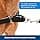 PetSafe - Easy Walk Extra Large Dog Harness (XL) - Black - Image 4