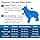 PetSafe Easy Walk Harness with No-Pull Buckle and 6ft Lead, Comfortable Walk for You and Him - 4 Adjustment Points - Durable, Easy to Put on and Take Off - Raspberry, Large - Image 8