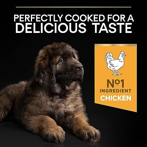 PURINA PRO PLAN | Healthy Start | Heavy Duty Large Size Puppy Food | Strengthens Puppy's Natural Defences | Rich in Chicken | Bag | Pack of 4 x 3 kg - Image 7