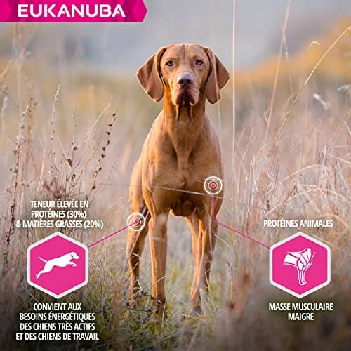 Eukanuba Daily CareWork & Endurance Chicken 15 kg - Image 4