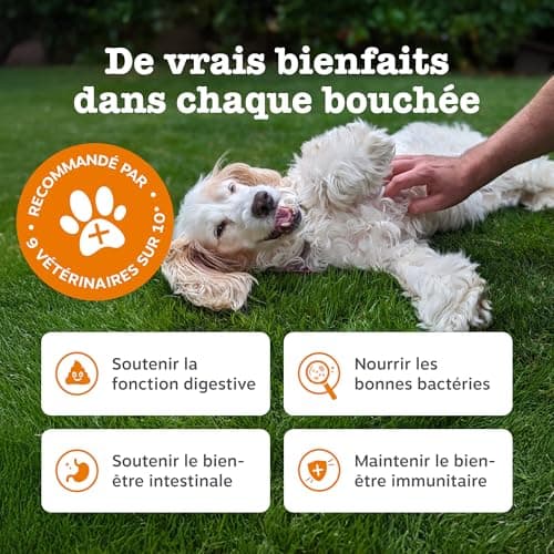 Zesty Paws Probiotic - Complément pour Chien sous Forme de friandise - Probiotique Chien - Système Immunitaire - Combinaison inédite prébiotiques, probiotiques et postbiotiques - 90 Unités - Image 4