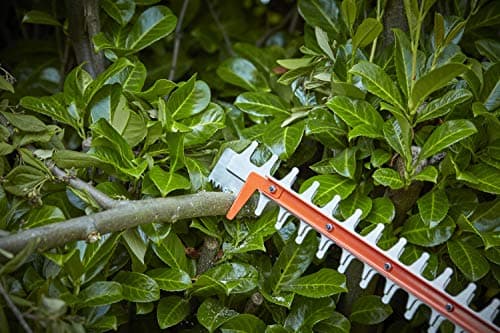BLACK+DECKER - Cordless hedge trimmer - 36 V lithium battery - lightweight and compact - 55 cm - saw blade tip - delivered without battery - BCHTS36B-XJ - Image 5