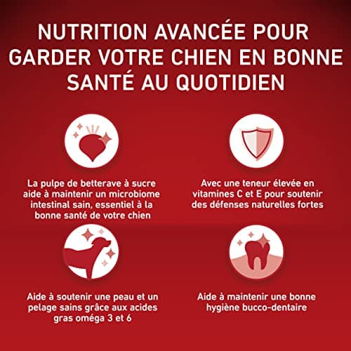 PURINA ONE | Medium & Large Adult Dog > 10kg | High Protein Dry Food | Helps Maintain Strong Muscles and Sufficient Energy | Beef | Bag | 7kg - Image 4