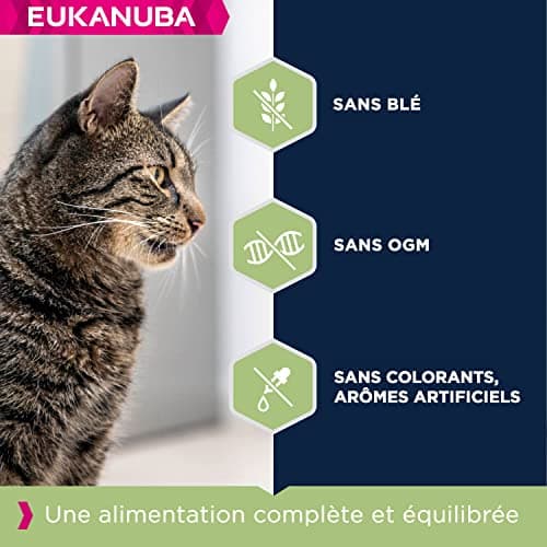 EUKANUBA Hair Ball Controls - Premium Dry Food for Adult and Senior Cats - Rich in Fresh Chicken and Rice - Wheat and GMO Free - Complete and Balanced Food - Resealable Bag - 2kg - Image 4