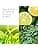 Elizabeth Arden - Green Tea - Women's Deodorant Cream - Scented with Green Tea - Long Lasting Care - Refreshing Deodorant Against Perspiration - Image 5