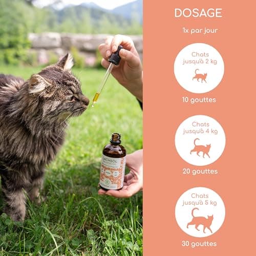 Wolfsbacher Salmon Oil for Cats 100 ml - Natural Atlantic Salmon Oil with Omega 3 and 6 - Image 6