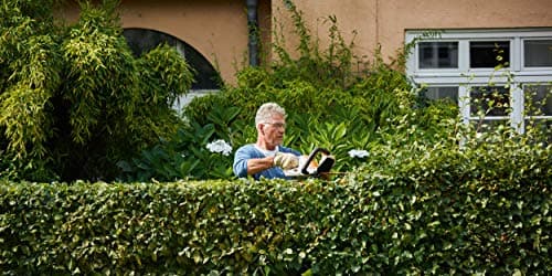 STIHL Osée 45 Electric Hedge Trimmer Hedge Trimmer Machines for Gardening - Image 3
