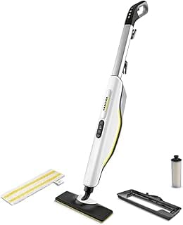 Nettoyeurs Vapeur subcategory
