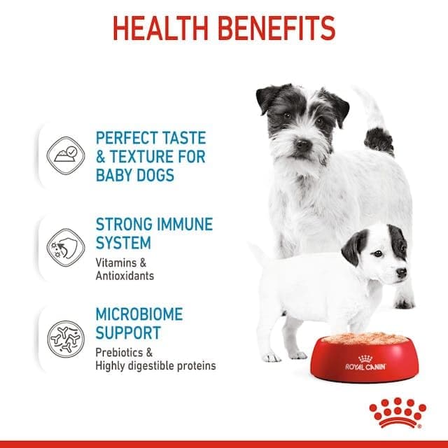 Royal Canin Mother & Babydog Starter Mousse | 12 x 195 g | Ultra Soft Foam Wet Food | for Dogs at the Last Third of Gestation and During the Breastfeeding Period - Image 5