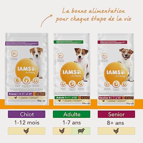 Iams Mature & Senior Dog - 5 kg - Image 6