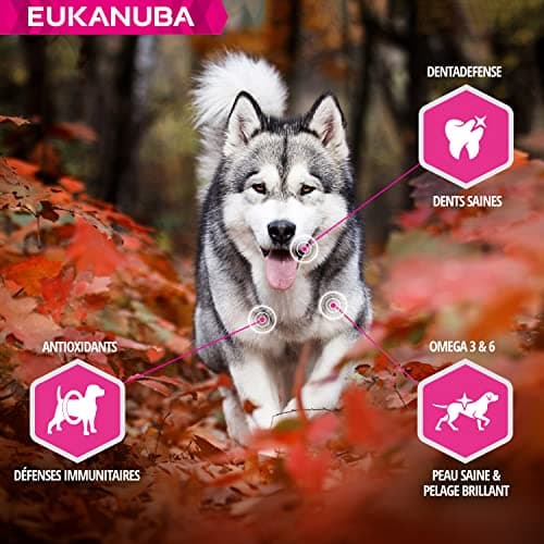Eukanuba Daily CareWork & Endurance Chicken 15 kg - Image 6