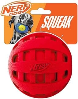 Nerf Dog Boule Checker Squeak