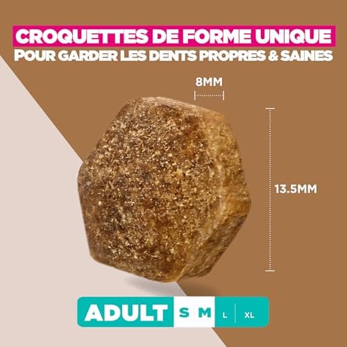 Eukanuba Croquettes Premium sans Céréales pour Chien Adulte de Grande Race – Riche en Poulet - Hypoallergénique – Glucosamine Calcium - Sac de 12 kg - Image 7