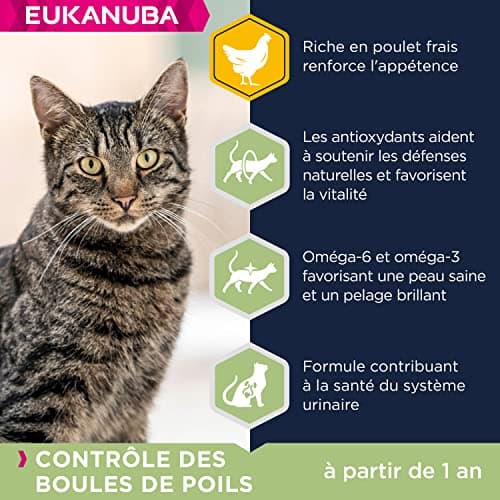 EUKANUBA Hair Ball Controls - Premium Dry Food for Adult and Senior Cats - Rich in Fresh Chicken and Rice - Wheat and GMO Free - Complete and Balanced Food - Resealable Bag - 2kg - Image 5