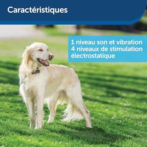 PetSafe - Escape Proof Fence System with Collar and Wire for Large Dogs or Stubborn Dogs over 4 kg - All Types of Terrain (Garden, Enclosure) - Waterproof - Easy to Install - Image 7